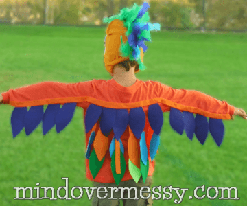 DIY Bird Costume