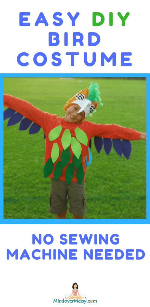 Super Easy Diy Bird Costume Mind Over Messy - Diy Child Bird Costume