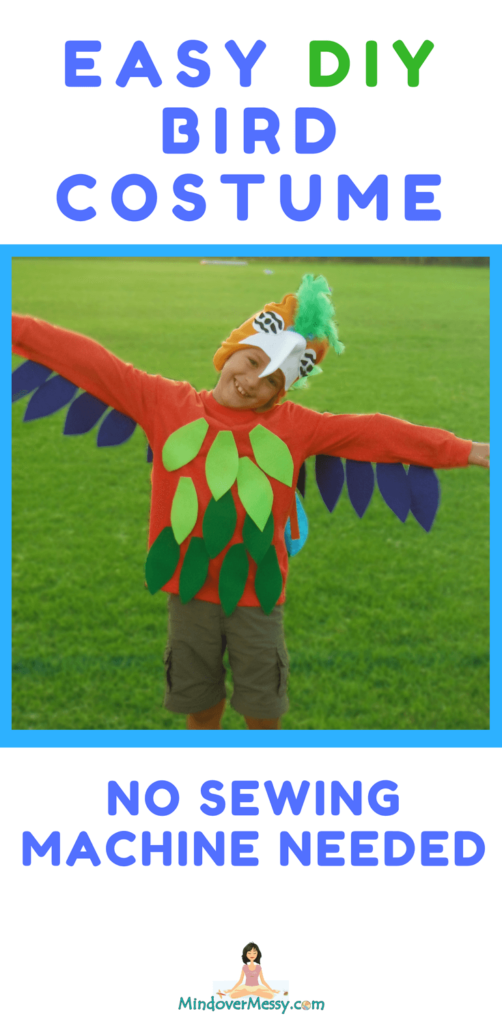 Super Easy DIY Bird Costume