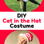 diy cat in the hat