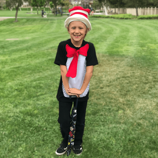 cat in the hat costume diy