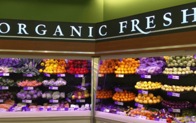 The Best Way to Save Money on Organic Fruits and Veggies!